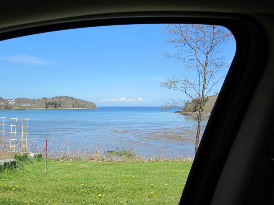 Gorgeous view out my side window.