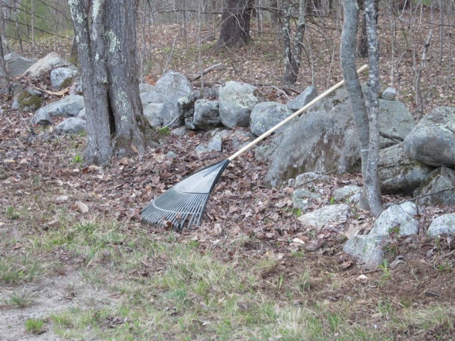 Rake therapy works wonders.