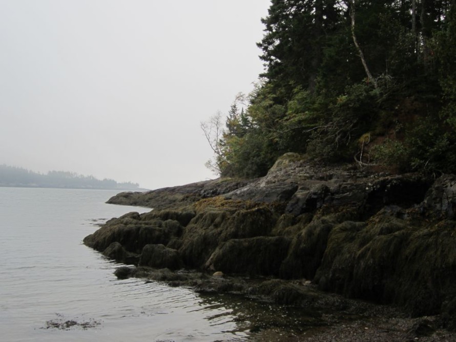Jasper Beach Coastline